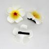 12 Pcs Colorful Hawaii Plumeria Flower Clips Hawaiian Flower Hair Barrettes Beach Party Hair Clips Artificial Tropical Hairpins for Wedding view 3