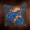 Coastal Carolina Cornhole Bags view 4