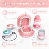 Dentist Play Set for Girls 3-5 - Doctor Kit Toy Gifts for 3 4 Year Old Toddler Girls, Pretend Play Montessori Toys Teeth and Dental Playset Medical Kits for Boys Kids 3 4 5 6 7 8 Pink view 2