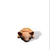 3D Reading Buddy Set view 4