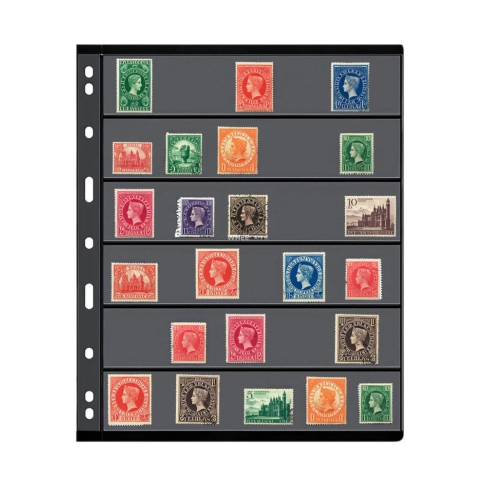 9-Pocket Stamp Album Pages, Double-Sided Sheets For Coin And Currency Storage, Black Background, Fits 8.5 X 11 Binders