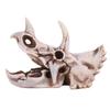 Fydun Triceratops Skull Model Lifelike Dinosaur Skeleton for Home and Office Display Excellent DeCraft view 1