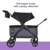 Baby Trend Tour LTE 2-in-1 Stroller Wagon, Gravity Black view 4