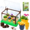 BEIGEMEI Kids Plant Growing Kit, Mini Garden Greenhouse Plant Starter Kit, Flower Growing Kit & Terrarium Kit for Kids view 1