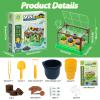 BEIGEMEI Kids Plant Growing Kit, Mini Garden Greenhouse Plant Starter Kit, Flower Growing Kit & Terrarium Kit for Kids view 2