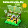 BEIGEMEI Kids Plant Growing Kit, Mini Garden Greenhouse Plant Starter Kit, Flower Growing Kit & Terrarium Kit for Kids view 3