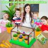 BEIGEMEI Kids Plant Growing Kit, Mini Garden Greenhouse Plant Starter Kit, Flower Growing Kit & Terrarium Kit for Kids view 4