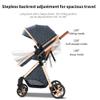 2 in 1 Baby Stroller,Infant Stroller Convertible,High Landscape Baby Carriage,Foldable Pushchair with Adjustable Canopy(Pink) view 4