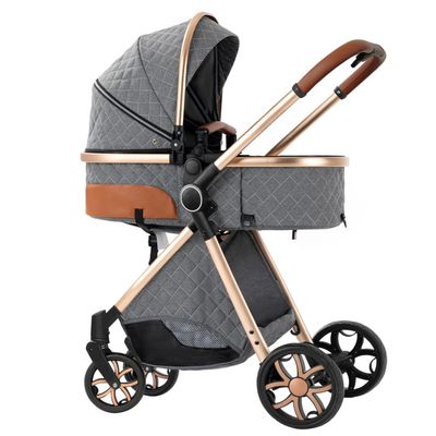 2 in 1 Baby Stroller,Infant Stroller Convertible,High Landscape Baby Carriage,Foldable Pushchair with Adjustable Canopy(Grey)