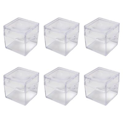 6 Small Square Observation Box with Magnifier for Kids Outdoor Exploration Safe Viewer for Outdoor Exploration