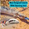 Realistic 3D Printed Articulating Blue-Tongued Skink  Jaw Opens, Fully Poseable Body, Legs & Tail  Reptile Model with Varying Eye Colors  Lifelike Blue Tongue Lizard Replica view 4