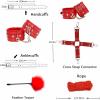 12 Classic Red Leather Multifunctional Indoor Fitness Combination Sets, Including Handmade Ropes and Sleeping Mirrors - D8 view 2