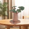 Artificial Miniature Model, Lifelike Educational Toy for Kids, PVC Sand Table Model with Ambiance Decorative Design, Inspires Creativity and Imagination, Multifunctional Ornament view 3