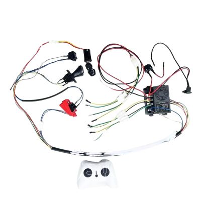 12V 24V 4WD Self-Made High-Power Children Electric Ride on Car Set of Wire Harness 2.4G Remote Control Box Switch Upgrade Kit(24V 40A 4WD)