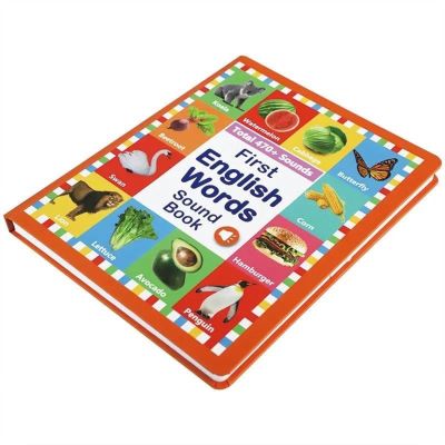 First English Words Sound Book 470+ Words, 21 Fun Themes, Alphabet & Phonics Learning Toy, Speak and Spell Game, Educational Juguete for Kids, My First English Talking Book