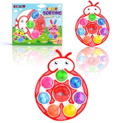ASIOWELY Color Sorting Sensory Toys for Kids with Autism Toddler Toys for Airplane Travel Road Trip Preschool Montessori Toys Fine Motor Skills B Easter Basket Stuffers Gifts for Kids Boys Girls