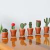 3D Printed 32PCS Cactus Chess Board Set, Succulent Cacti Chess-Advanced, Cactus-Themed Pieces, Pot Case, Roll up Cactus Board, Suitable for Plant Lovers, Family and Couple Gatherings view 4