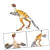 BESPORTBLE Lifelike Sinosauropteryx Dinosaur Model for Boys Simulation Bird Design Creative Static Plastic Figure for Dinosaur Lovers and Educational Play view 3
