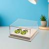 1/64 Scale Two Car Display Case with Portable Design and Clear Acrylic Lid for Collectibles, Beige view 4