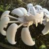 3D Printed Flexible Pumpkin Spider Transformer - Cute Figurine for Halloween Decor, for Home Office Desk Ornament (White) view 1