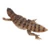 ibasenice Realistic Simulation Lizard Model Ornament for Home and Nursery Decoration Lifelike Reptile Figurine Educational to Develop Cognition and Imagination view 1