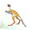 BESPORTBLE Simulation Sinosauropteryx Dinosaur Model Static Bird for Boys Creative Educational Plastic Figure with Detailed Craftsmanship for Dinosaur Lovers view 2