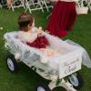 Datanly 4 Pcs All-Terrain Wedding Wagon Set Includes 39x17x32 Inch Heavy Duty White Flower Girls Wagon Cart Here Comes The Bride Sign White Tulle Plush Pad for Wedding Reception view 4