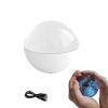Crystal Ball Video Player, Crystal Ball with Digital Electronic Display, can Upload Videos and Photos (White) view 1