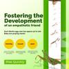 Religiosa Mantis Egg Case (Two Egg Case) - Hatch and Observe Growth view 4