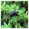 0408 Coreless Vibration Electronic Starter with Rubber Sleeve Hammer Head DC 1.5V-6V 3V 3.7V view 2