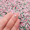 Polymer Clay Pink Watermelon Fruit Slices, Nail Art Slices, Faux Fruit, Nail Art Fruit Slice, Fake Food, Miniature Fruit rdnqu (Bag: 15 Grams) view 1