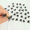 2 Pair Realistic Fly Earrings,Abstract House Fly Earrings,Create Unique Simulated Animal Earring,Novelty Prank Gift(Black*2) view 4