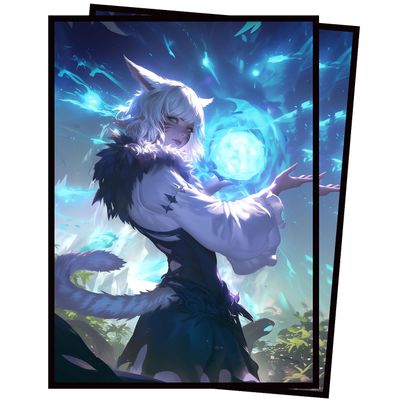 100 Card Sleeves 66x91mm Compatible with MTG (Art - Wizard)