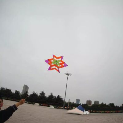 1 Pc Outdoor Toy for Picnic Beach Park Travel 3D Flower Kite for Kids Adults Easy to Fly Plum Blossom Kites