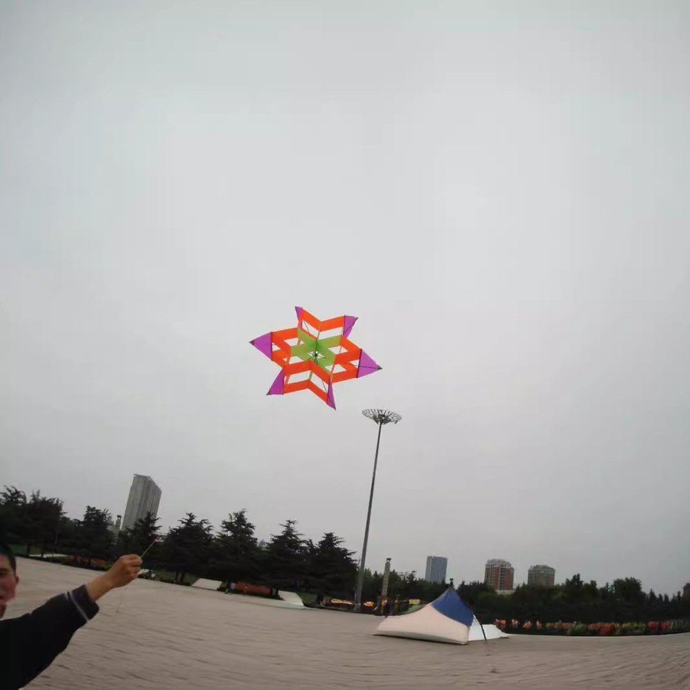 1 Pc Outdoor Toy for Picnic Beach Park Travel 3D Flower Kite for Kids Adults Easy to Fly Plum Blossom Kites