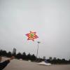 1 Pc Outdoor Toy for Picnic Beach Park Travel 3D Flower Kite for Kids Adults Easy to Fly Plum Blossom Kites view 1