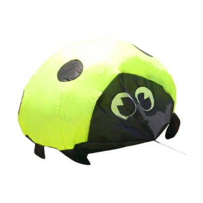3D Ladybird Kite with Kites String Gift Beach Kites for Sports Outdoor Beach