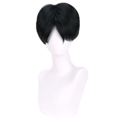 WTHCOS Short Black Wigs for Boys Men Cartoon Movie Halloween Cosplay Costume Animie Wig