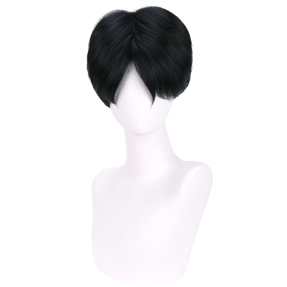 WTHCOS Short Black Wigs for Boys Men Cartoon Movie Halloween Cosplay Costume Animie Wig