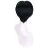 WTHCOS Short Black Wigs for Boys Men Cartoon Movie Halloween Cosplay Costume Animie Wig view 3