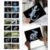 16 Animal X-Ray Set, Educational Science Kit for Kids to Explore Bone Structures for Lightstand Accessories, Light and Shadow Areas (Pets Series) view 2