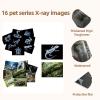 16 Animal X-Ray Set, Educational Science Kit for Kids to Explore Bone Structures for Lightstand Accessories, Light and Shadow Areas (Pets Series) view 4
