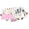 Depesche 13743 Miss Melody Horse and Rider Dress Me Up Stickerbook view 2