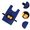 Outdoor Dodgeball Game Kit for Lawn Activities with Throwing Balls, Blue view 4