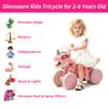VIZZTY Dinosaur Balance Bike for 1-3 Year Olds, Toddler 4-Wheel No-Pedal Walker Scooter with Music & Mist Spray Effects, ASTM Certified First Birthday Gift for Boys & Girls (Pink) view 4