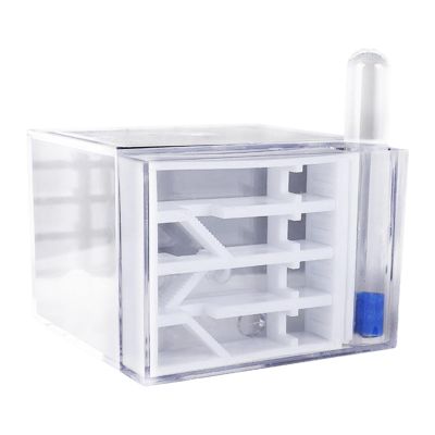 ANT Farm Study DIY Supplies ANT Habitat for Decor Children's Day Birthday