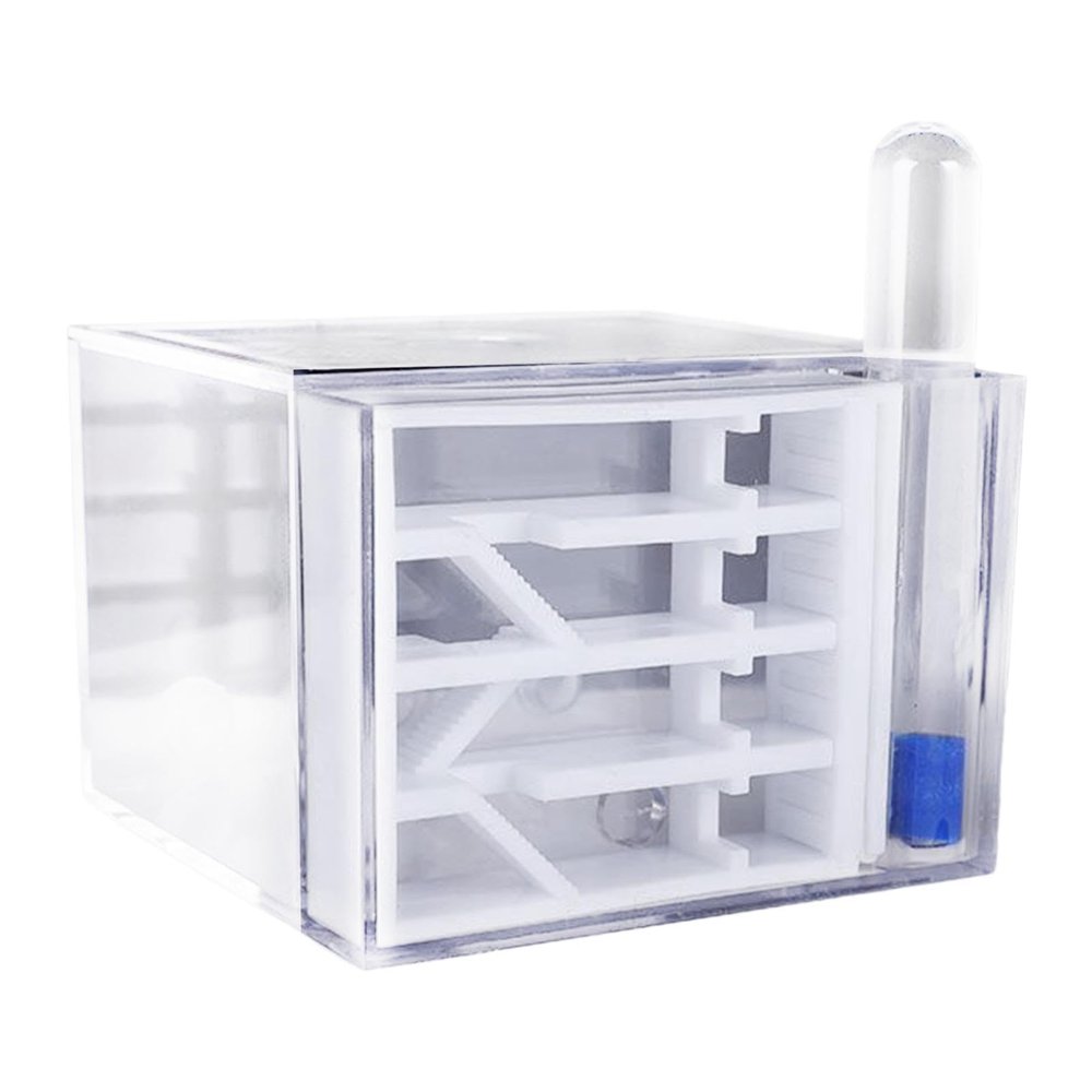 ANT Farm Study DIY Supplies ANT Habitat for Decor Children's Day Birthday