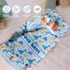 Personalized Girls Nap Mat - Custom Name Toddler Sleeping Bag with Pillow and Blanket for Daycare Preschool, Kids Sleeping Mat for Travel Camping, Easy Carry Roll Up Nap Sack Dinosaur Light Blue view 2