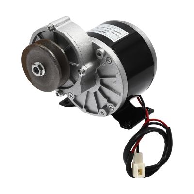 250 Watt Gear Reduction Electric Motor, 12V/24V/36V Powerful Gear Motor with Belt Pulley 2750rpm (24V)