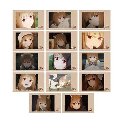 TV Anime Wolf and Spices Merchant Meets The Wise Wolf Trading Holo Scene Instant Camera Illustration Cards Box of 14